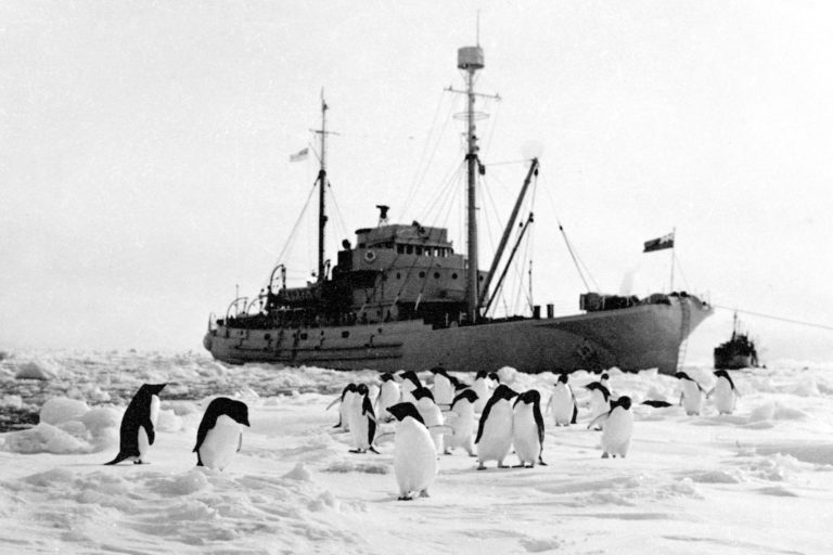 ABC 0017 HMNZS Endeavour in Antartica HMNZS Endeavour in Antartica with penguins in the foreground