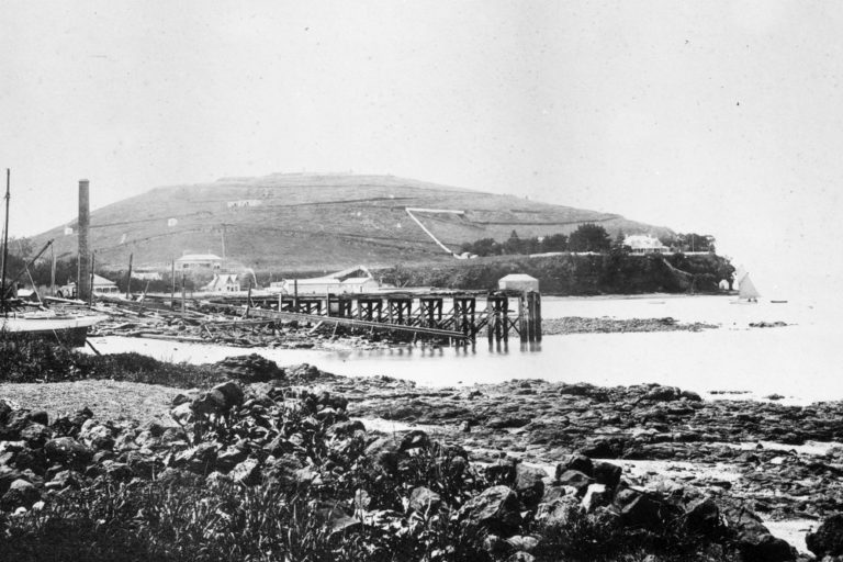 Torpedo Bay from Devonport wharf, 1890