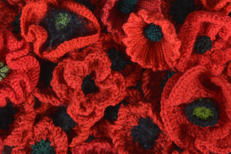 IMG_0987 Poppy Panel at the Navy Museum.