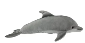 Bottlenose Dolphin