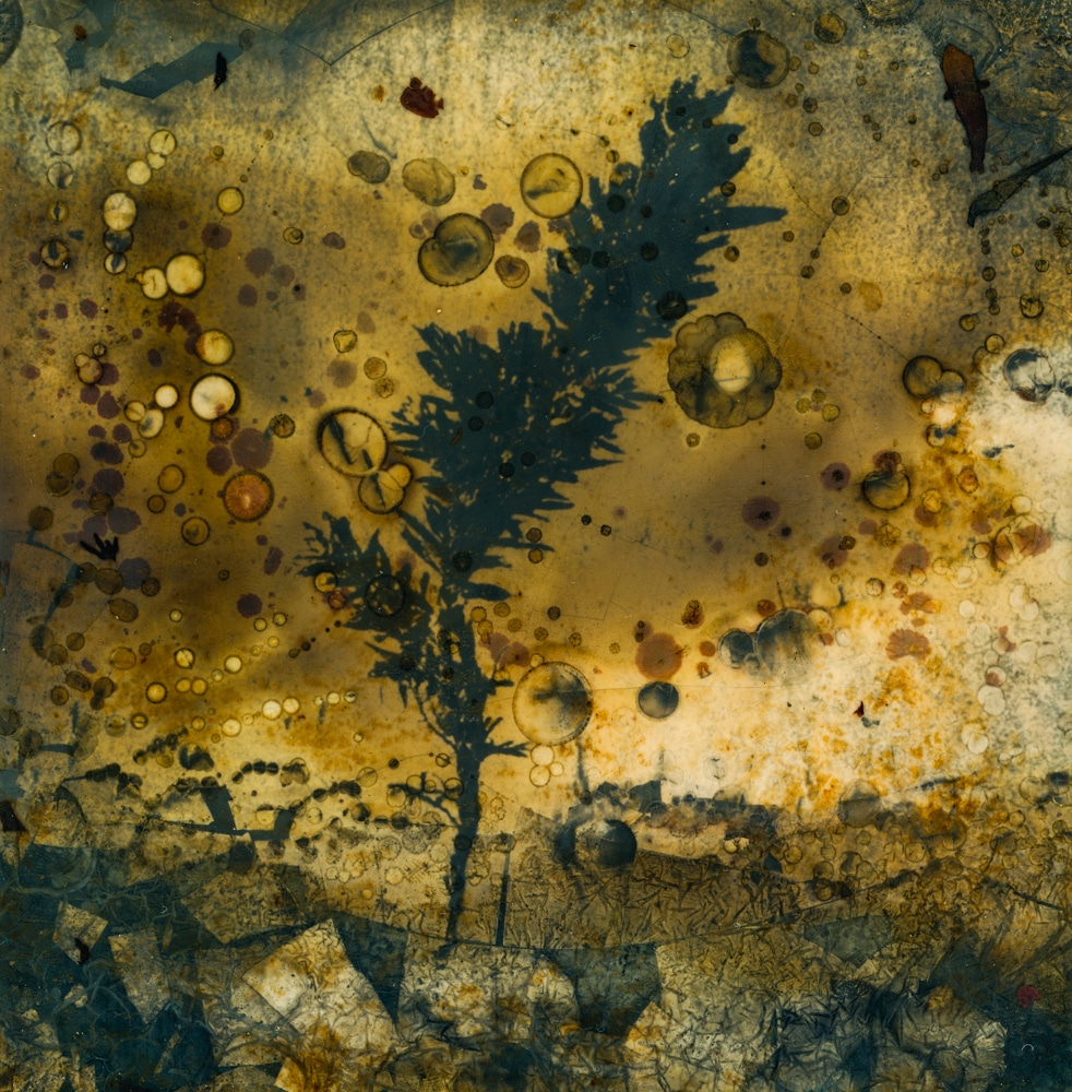 Tides of Change photographic exhibition by artist Linda Jarrett opens 31 May.