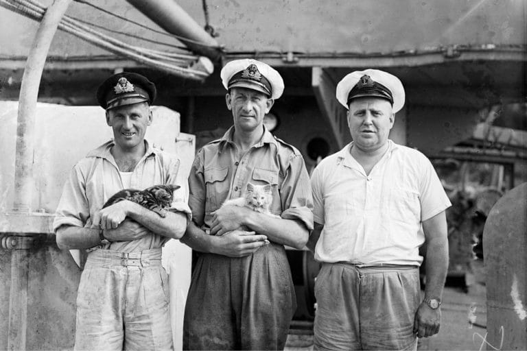 Tudor Collins feature image Cats were a popular mascot