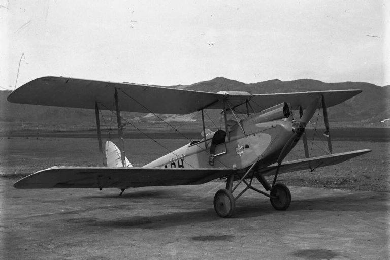 nlnzimage De Havilland DH60G Gipsy Moth aeroplane at Rongotai Airport, Wellington.